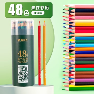 晨光（M&G） 彩色铅笔 不易断芯美术设计专业手绘画画彩铅笔 儿童画画 绘画兴趣初学画本填色画笔 水溶性彩铅 12色s358