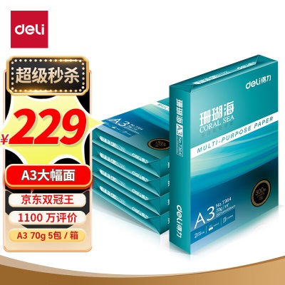 得力(deli)多功能16K打印纸 70g克500张*8包一箱 双面复印纸 家用绘画草稿纸s359