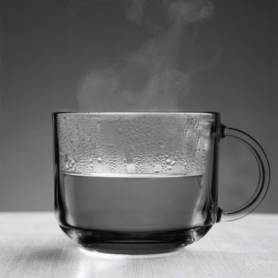 乐美雅（Luminarc）早餐杯子牛奶杯玻璃水杯咖啡男女奶茶杯耐高温高颜值把杯500ml*2s409