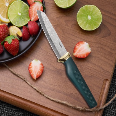 金达日美水果刀家用厨房削切刀苹果西瓜刀防粘激光纹理刀刃不锈钢材质s408