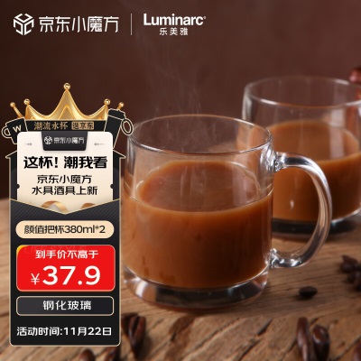 乐美雅（Luminarc）玻璃杯水杯茶杯子钢化玻璃咖啡杯男女高颜值泡茶杯500ml*2冰川纹s409