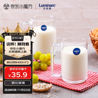 乐美雅（Luminarc）玻璃杯水杯茶杯子钢化玻璃咖啡杯男女高颜值泡茶杯500ml*2冰川纹s409