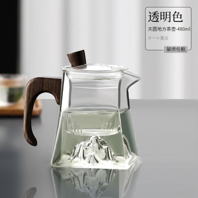 青苹果（QINGPINGGUO）玻璃茶壶单壶耐高温观山茶水分离带过滤茶具家用泡茶壶套装煮绿茶s410