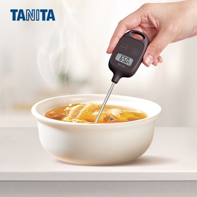百利达（TANITA）TT-583家用汤温度计 日本品牌s425