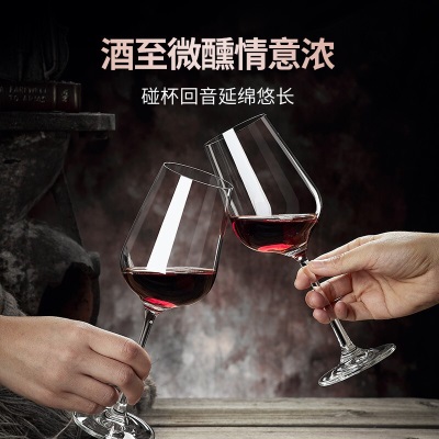 青苹果 欧式水晶玻璃红酒杯套装6只家用大号酒杯创意葡萄醒酒玻璃高脚杯s470