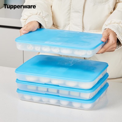 特百惠（Tupperware） 速冻饺子盒冰箱食品级收纳盒保鲜汤圆虾仁不粘密封套装1.3Ls467