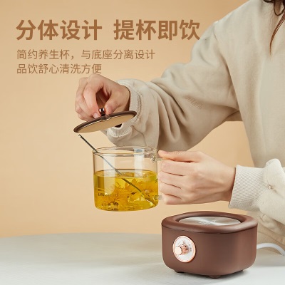 金灶（KAMJOVE）保温多功能养生茶壶迷你养生壶煮茶器煮茶壶花茶壶HT-001摩卡棕s460g