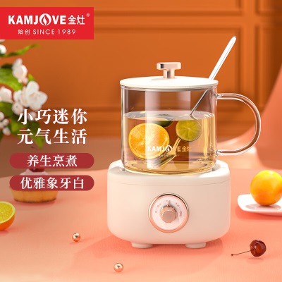 金灶（KAMJOVE）保温多功能养生茶壶迷你养生壶煮茶器煮茶壶花茶壶HT-001摩卡棕s460g