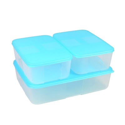 特百惠（Tupperware）保鲜盒冷冻入门3件套冰箱冷冻保鲜收纳套装 (3.3Lx1+1.7L）s467