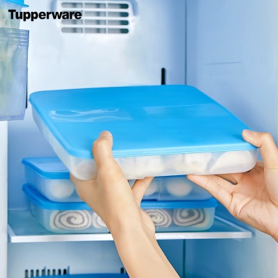 特百惠（Tupperware） 速冻饺子盒冰箱食品级收纳盒保鲜汤圆虾仁不粘密封套装1.3Ls467