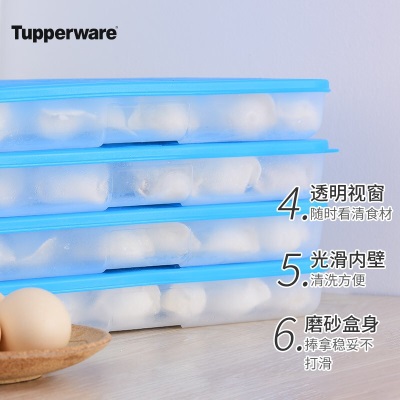 特百惠（Tupperware） 速冻饺子盒冰箱食品级收纳盒保鲜汤圆虾仁不粘密封套装1.3Ls467