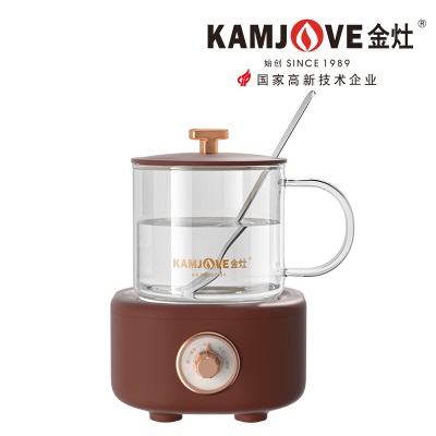 金灶（KAMJOVE）保温多功能养生茶壶迷你养生壶煮茶器煮茶壶花茶壶HT-001摩卡棕s460g