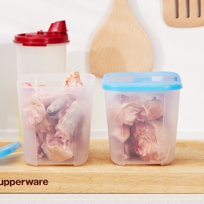 特百惠（Tupperware）冷冻中型3号1.2L*2冰箱冷冻保鲜盒耐低温不变形密封不串味随机色 颜色随机1.2L*2s467