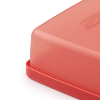 特百惠（Tupperware）便携多用盒两件套密封保鲜储藏盒冰箱冷藏方盒400ml 400ml*2s467