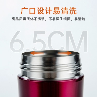 膳魔师（THERMOS）保温杯男泡茶杯不锈钢车载水杯便携550ml团购定制刻字TCMA-550s472