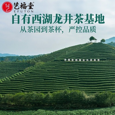 艺福堂茶叶 西湖龙井茶 2023新茶 西湖产区 明前特级EFU10绿茶蜜栗香50gs478