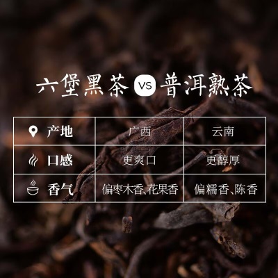 天福茗茶（TenFu’s TEA）广西六堡茶梧州黑茶一级散茶礼盒装送礼收藏300g/盒s481