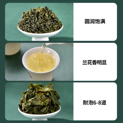 天福茗茶（TenFu’s TEA） 茶叶铁观音新茶清香型 2023新茶 福建乌龙茶高山茶叶495gs481