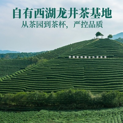 艺福堂茶叶 西湖龙井茶明前特级2023新茶杭州特产绿茶250gs478