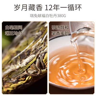 天福茗茶（TenFu’s TEA） 2023兔年生肖饼瑞兔献福福鼎白牡丹白茶饼茶叶礼盒380gs481