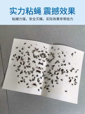 苍蝇贴强力粘苍蝇纸粘蝇板灭蝇神器蝇子蚊子克星捕捉器家用一扫光s488s488