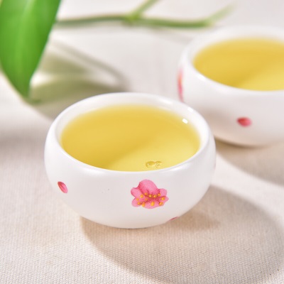 天福茗茶（TenFu’s TEA） 清香型茶叶铁观音 2023新茶 乌龙茶铁观音盒装250Gs481