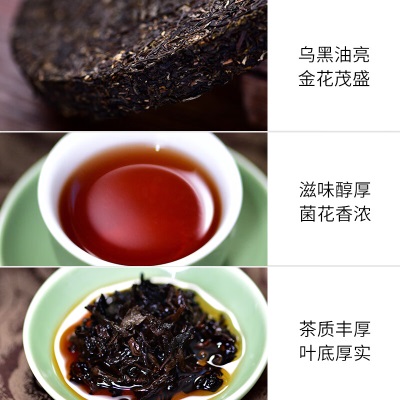 天福茗茶（TenFu’s TEA） 2024龙年生肖饼龙腾万里安化黑茶金花茯茶茶叶礼盒488gs481s482
