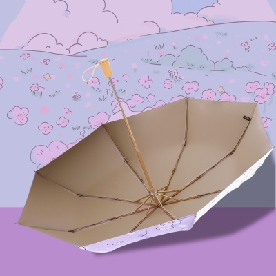 海螺雨伞彩胶遮阳伞防紫外线女晴雨两用太阳伞防晒轻小便携折叠