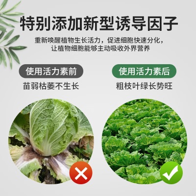 德沃多肥料植物活力素100mL花卉绿植营养液植物生长素盆栽花肥料通用生根液s509