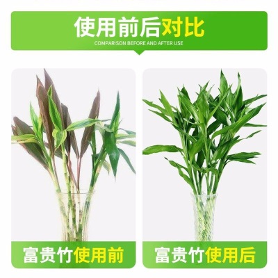 德沃多肥料富贵竹植物营养液500ml*2园艺绿植盆栽养花肥料观音竹水培叶面肥s509