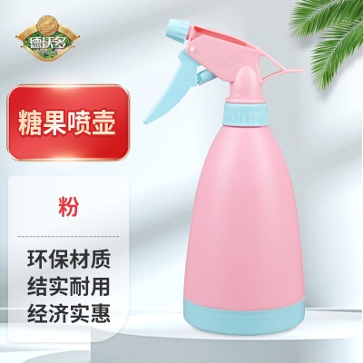 德沃多肥料细高喷壶星空灰500ml*2园艺工具盆栽植物浇花喷水壶家居清洁喷雾s509