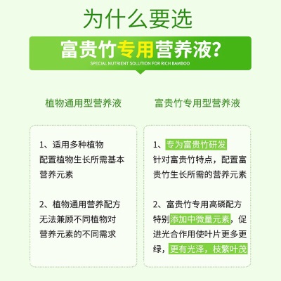 德沃多肥料富贵竹植物营养液500ml*2园艺绿植盆栽养花肥料观音竹水培叶面肥s509