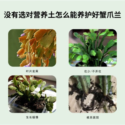 德沃多肥料蟹爪兰专用营养土15L园艺绿植盆栽花土有机花卉有机种植花肥土壤s509