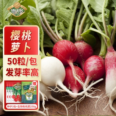 德沃多肥料种子樱桃萝卜*3袋+生物有机肥250g草籽蔬菜花种子四季播种盆栽s509