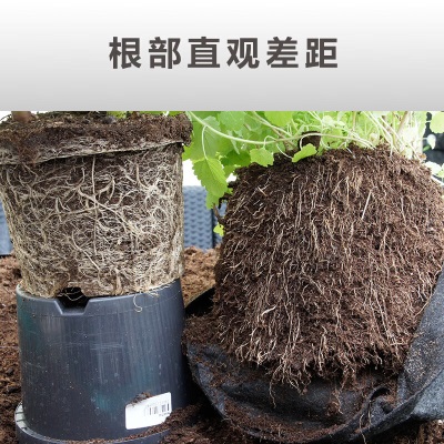 德沃多肥料种植袋种树袋45加仑双提手大花盆控根盆加厚育苗袋绿植盆栽生长袋s509