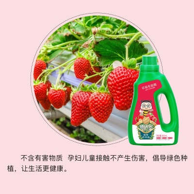 德沃多肥料草莓生长专用植物营养液600ml园艺绿植盆栽养花肥料水培种植盆景s509