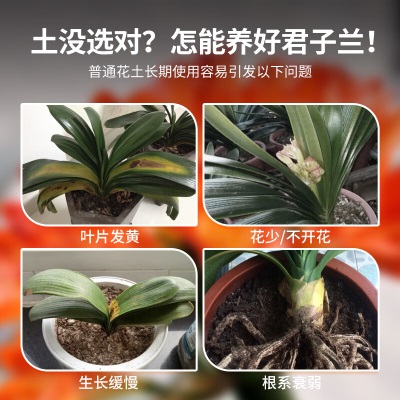 德沃多肥料君子兰专用营养土5L(五合一)园艺绿植养花有机种植土壤复合基质土s509