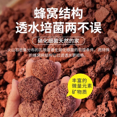 德沃多肥料红火山岩2.5kg(2-3cm)多肉颗粒土铺面石拌土改善土壤园艺无土栽培s509