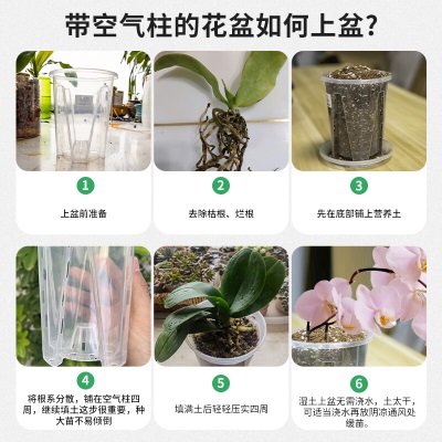 德沃多肥料控根透明花盆12口径*6个园艺绿植盆栽种植盆花卉种菜盆多肉塑料盆s509