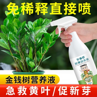 德沃多肥料金钱树专用植物营养液免稀释喷雾叶面肥500mL绿植盆栽叶绿液体肥s509