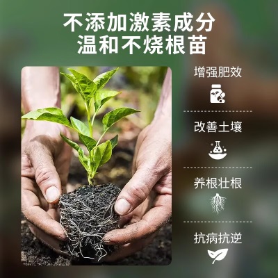 德沃多肥料绿萝专用植物营养液600ml园艺绿植水培盆栽有机花肥料绿叶液体肥s509