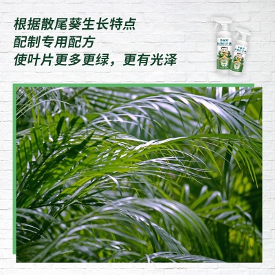 德沃多肥料散尾葵专用植物营养液免稀释500mL水培绿植花肥料园艺盆栽液体肥s509