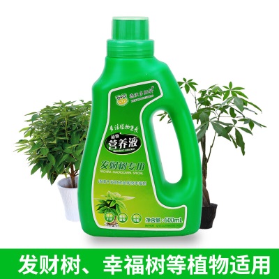 德沃多肥料 发财树营养液600ml/瓶s509