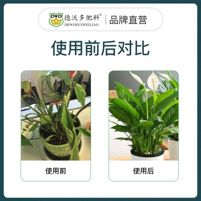 德沃多肥料一帆风顺专用植物营养液600ml白掌红掌盆栽绿植养花肥水培液体肥s509