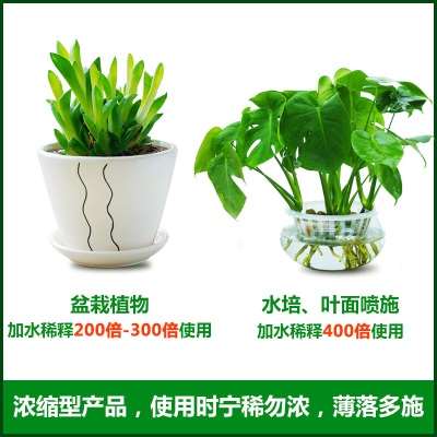 德沃多肥料通用型植物营养液500ml*2园艺盆栽绿植种菜养花肥料水培有机肥料s509