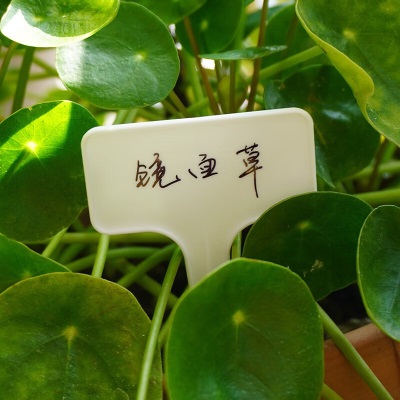 【虹越】植物标识牌 嘉伯瑞系列植物品种区分标签牌s507