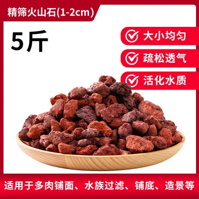 德沃多肥料红火山岩2.5kg(5-8mm)多肉颗粒土铺面石拌土改善土壤园艺无土栽培s509