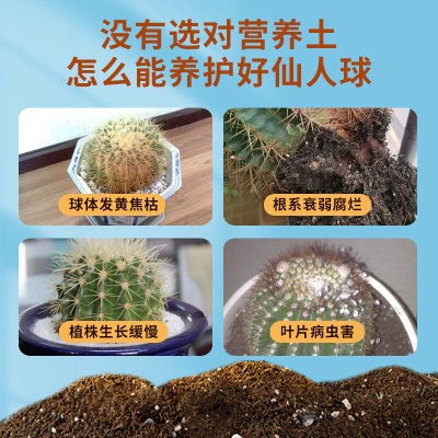 德沃多肥料仙人球专用营养土15L园艺绿植盆栽养花土壤有机复合基质种植土壤s509