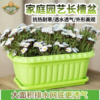 德沃多肥料长槽种菜盆380(绿色/含托)s509