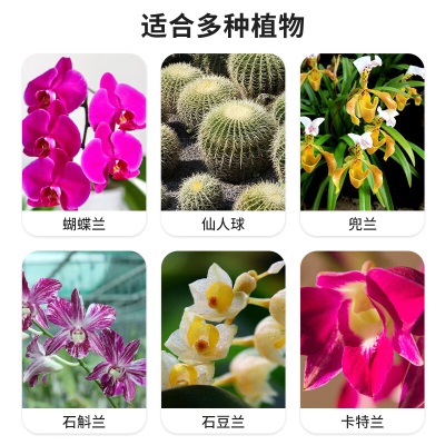 德沃多肥料控根透明花盆12口径*6个园艺绿植盆栽种植盆花卉种菜盆多肉塑料盆s509